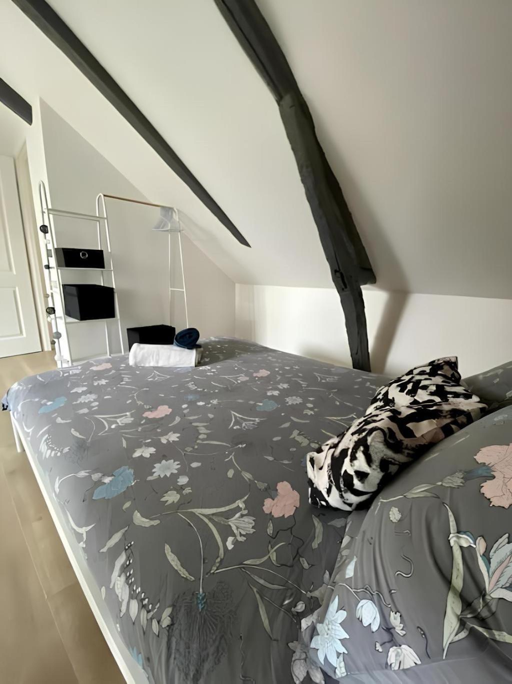 Maison Familiale Avec Exterieur Menage Et Linges Inclus Rouen Extérieur photo